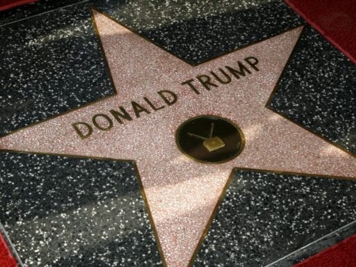 Donald Trump’s Hollywood Walk of Fame star has been destroyed by a pickaxe-wielding vandal