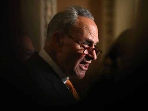 Schumer faces the most important Supreme Court fight for Democrats in a generation