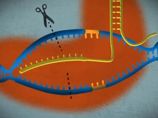 A simple guide to CRISPR, one of the biggest science stories of the decade
