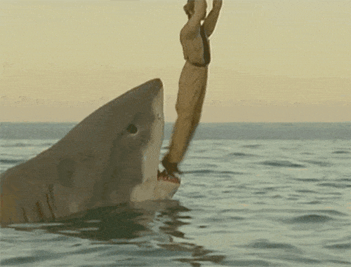 Why we love shark movies