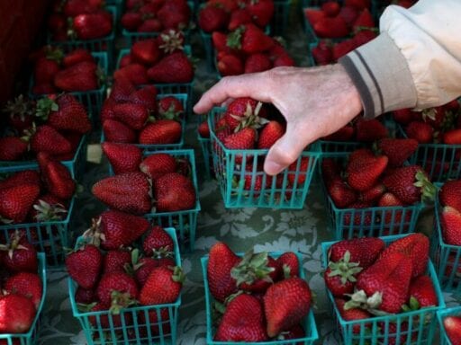 Australia is trying to figure out who’s sticking needles in strawberries