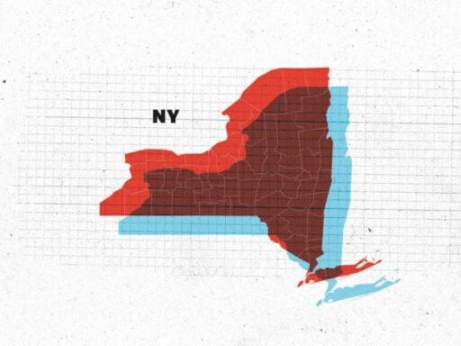 Every New York state primary race you need to know about, briefly explained