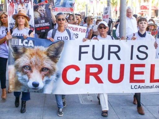 Fur is dead; long live fur