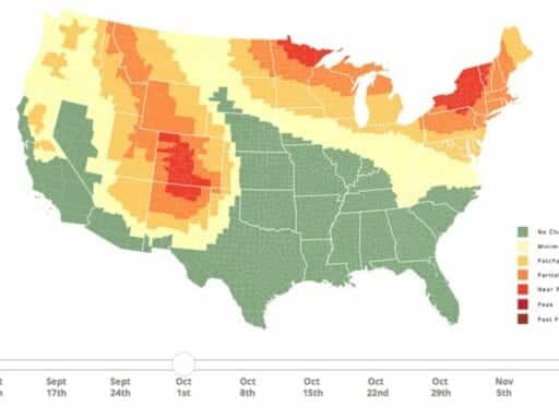 When and where fall foliage colors will peak, in one map