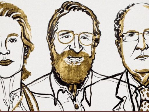 3 scientists sped up evolution in a lab. Their work just won a Nobel Prize.