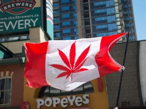 Toronto police to Canadians: stop snitching on your neighbors about marijuana