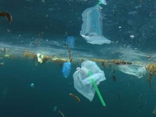 Why Starbucks, Disney, and the EU are all shunning plastic straws