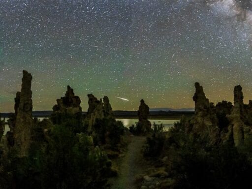 See bits of Halley’s comet burn up in the sky this weekend