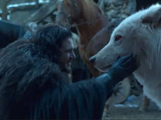 Game of Thrones finally acknowledged Ghost as the very good dog he is