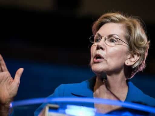 Elizabeth Warren has endorsed the most radical immigration idea in the 2020 primary