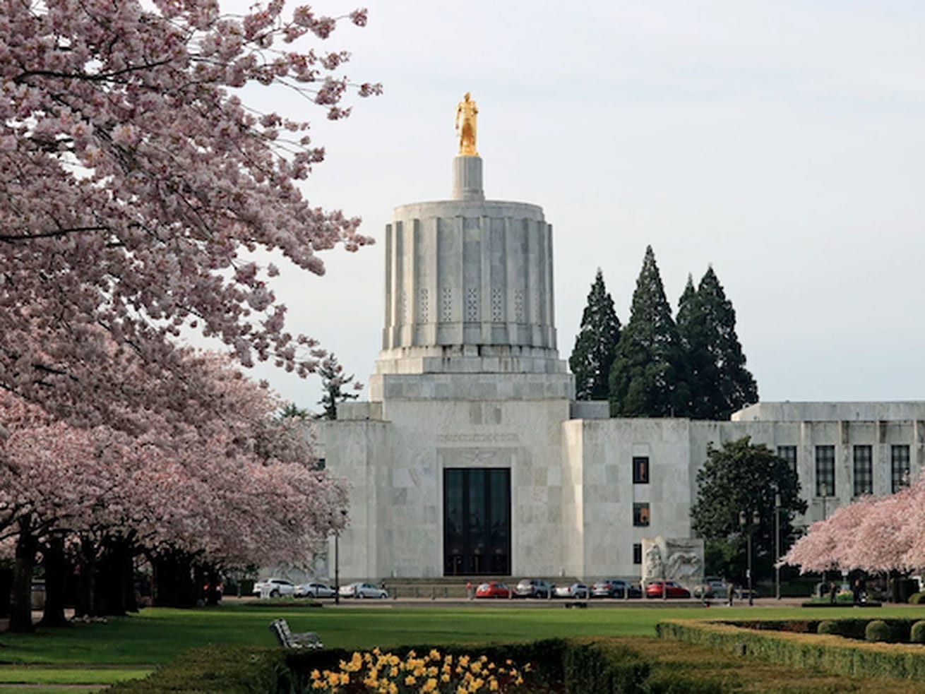 Vox Sentences: Hide-and-seek in Oregon