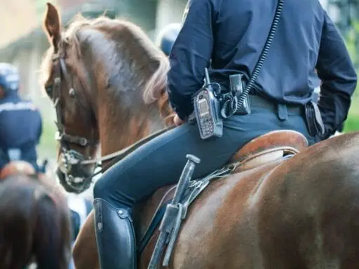 “This is 2019 and not 1819”: mounted police leading a black man by a rope sparks outrage