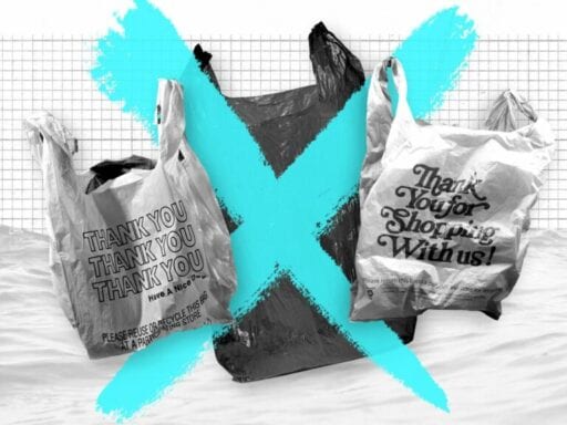 Do plastic bag taxes or bans curb waste? 400 cities and states tried it out.