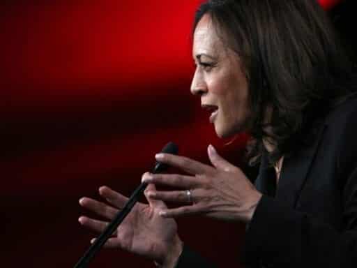 Kamala Harris’s climate plan would take polluters to court