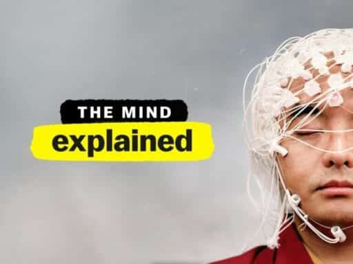 The mind, explained in five 20-minute Netflix episodes