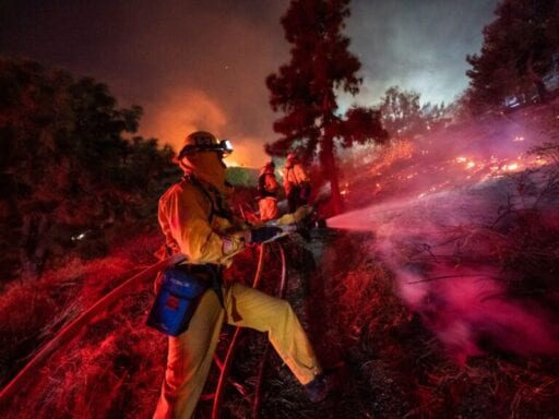 A major Los Angeles fire was sparked by a tree branch hitting a power line