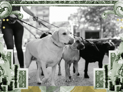 Money Talks: This couple had 6 dogs. It got really expensive.