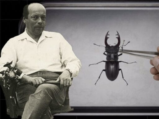 The insect collector who gave us stop motion
