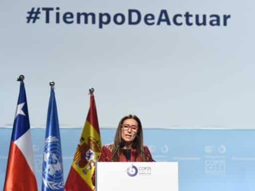 UN climate talks in Madrid ended without resolving their toughest issue
