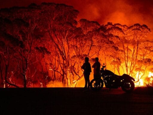 8 things everyone should know about Australia’s wildfire disaster
