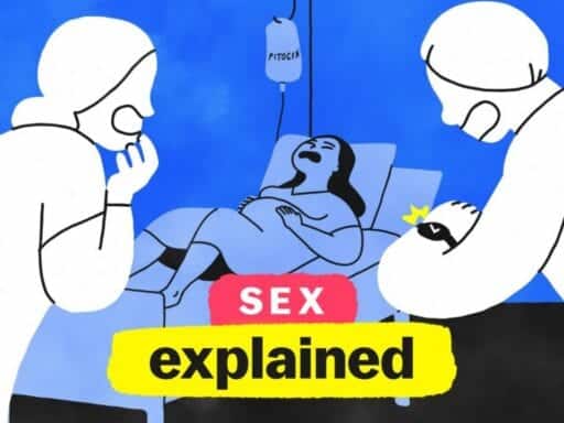 Sex, explained