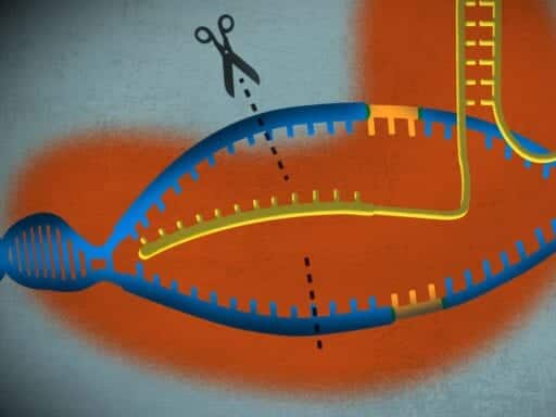 CRISPR’s co-developer on the revolutionary gene-editing technology’s past — and its future