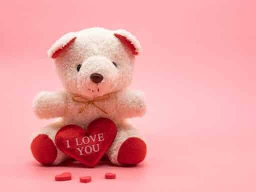 Who wants a teddy bear for Valentine’s Day?
