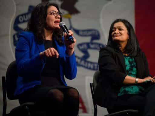 Tlaib promises to help preserve party unity after wading into a Clinton-Sanders row