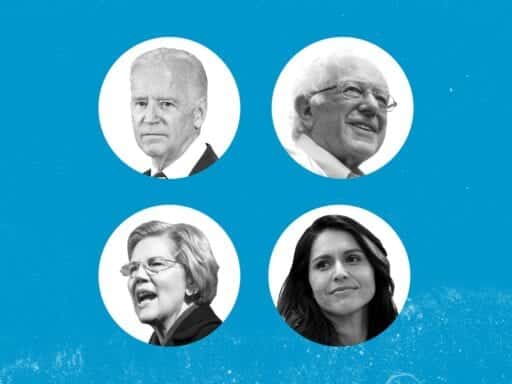 The 4 Democrats running for president and everything else you should know about 2020