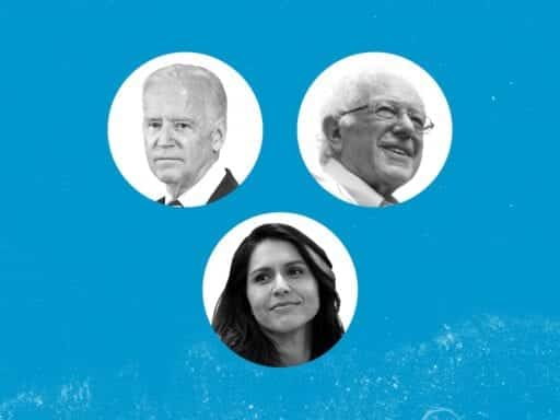 The 3 Democrats running for president and everything else you should know about 2020