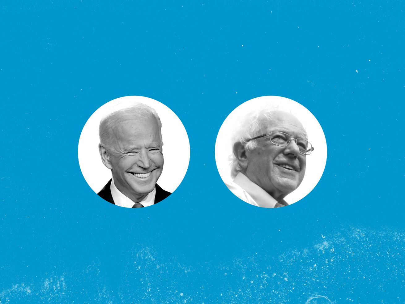 The 2 Democrats running for president and everything else you should know about 2020