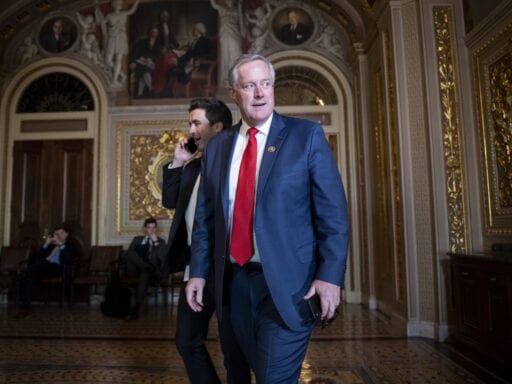 Trump announces Mark Meadows as his new chief of staff