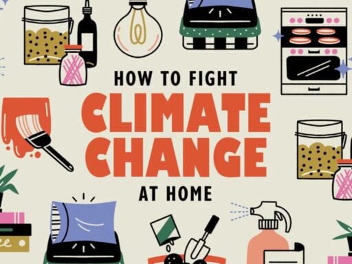 How to fight climate change at home