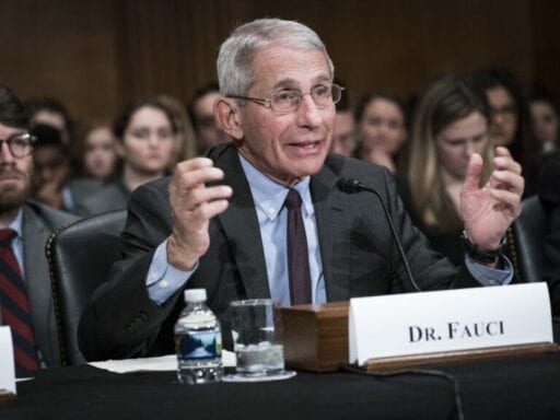 How Anthony Fauci became the face of the pandemic — and its merch
