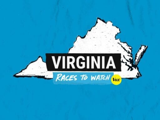 3 key Virginia primary races to watch on Tuesday
