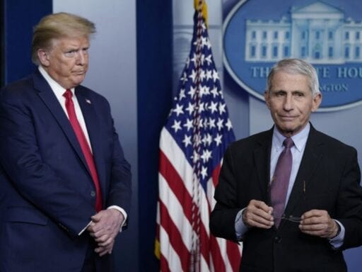 The White House’s campaign against Anthony Fauci is a symptom of a bigger problem