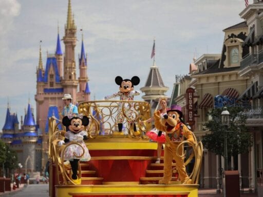 Should Disney World even be open?