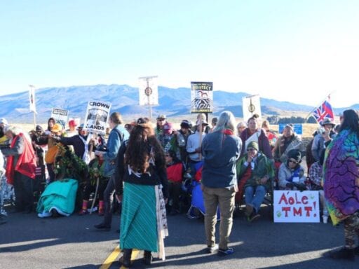 The pandemic hasn’t stopped Native Hawaiians’ fight to protect Maunakea
