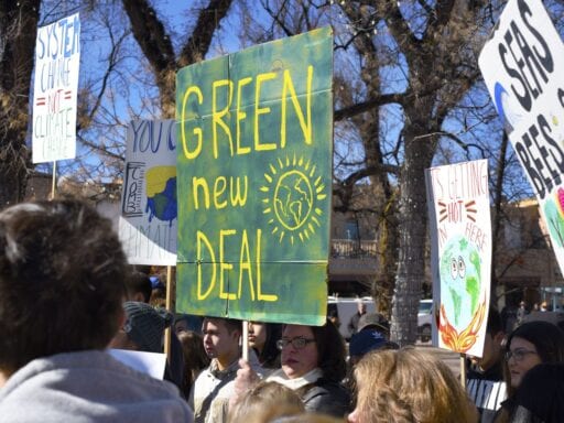 Noam Chomsky’s Green New Deal