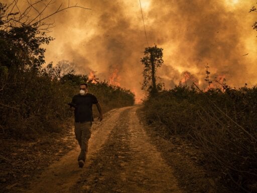 Climate change and mismanagement are fueling wildfires from Brazil to the US West Coast