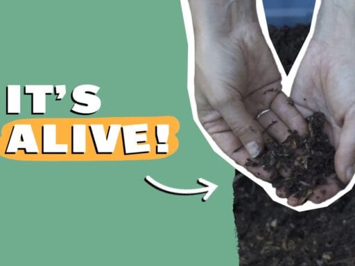 The secret history of dirt, explained to kids