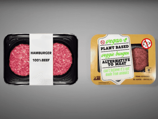 Lobbyists tried to ban labeling veggie burgers “veggie burgers.” The EU said no.