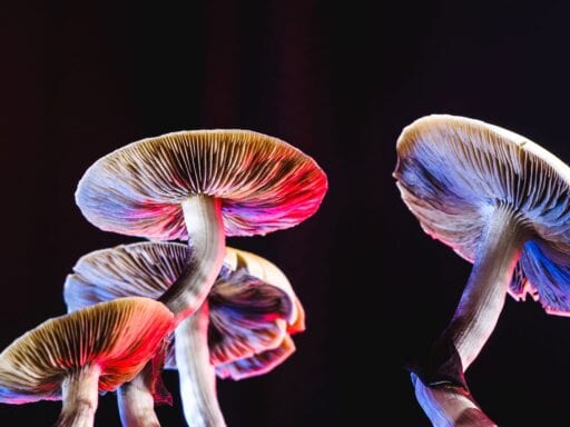 You can help make psychedelic therapy for depression a reality