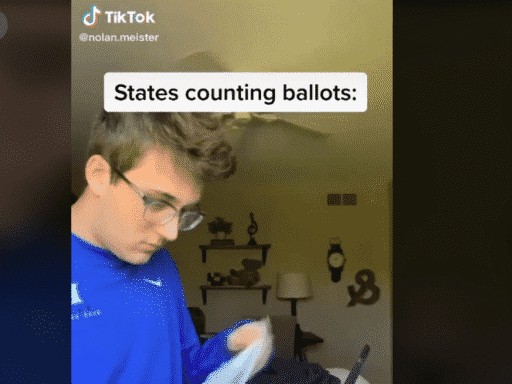 The 2020 election, explained by TikTok