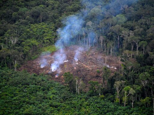 Environmental defenders in Colombia are being killed in alarming numbers