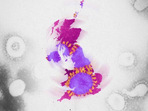 The UK coronavirus mutation has been found in the US