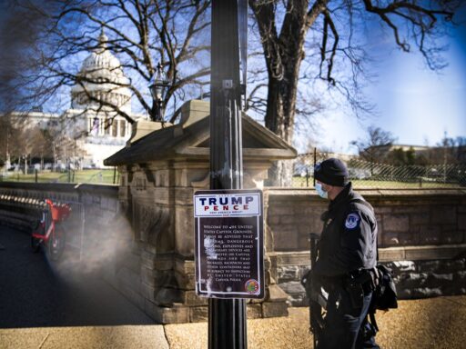 Police bias explains the Capitol riot
