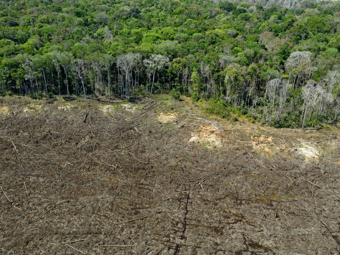 Brazil has already lost 30 Manhattans of Amazon rainforest this year