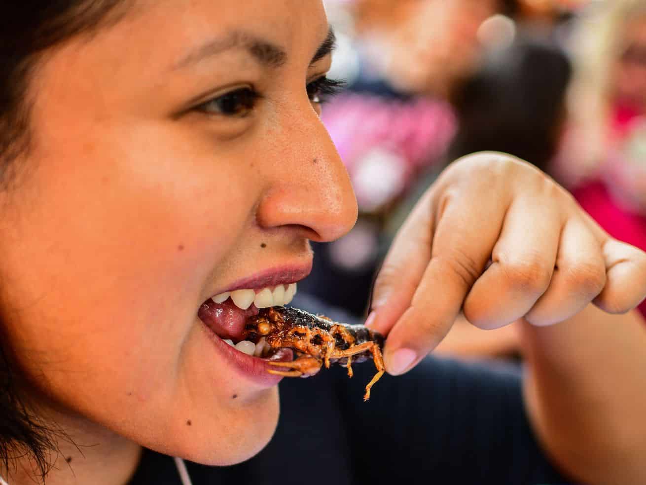 Can insects become a bigger part of humanity’s diet? Should they?