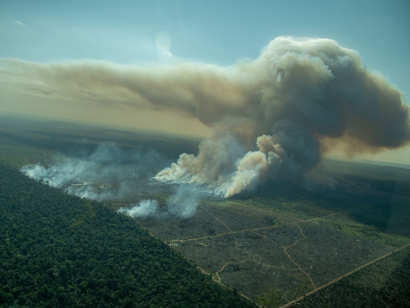 Fires in the Amazon are out of control. Again.